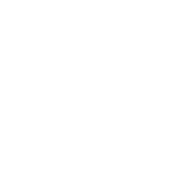 Pro Event Logo orig outlinet_hvit